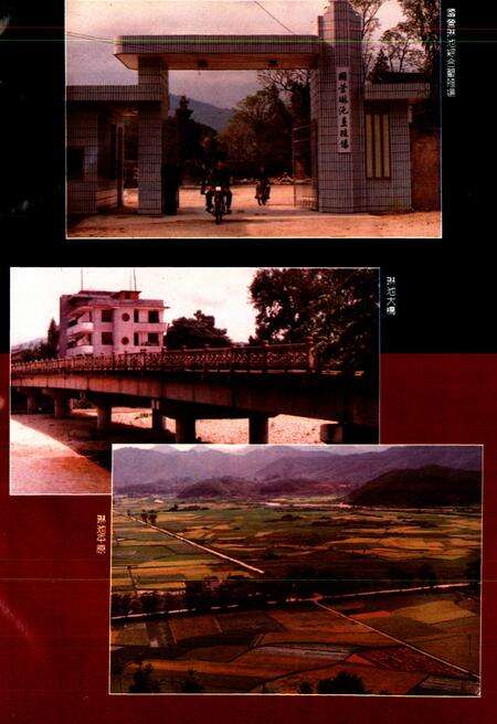 《琳池垦殖场志》.pdf_江西省志预览图3