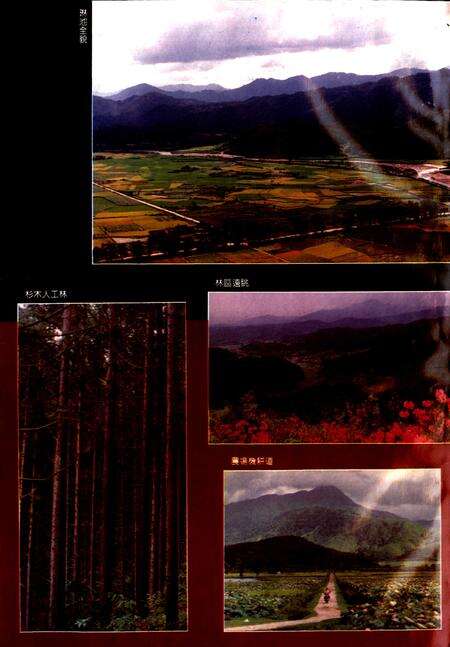 《琳池垦殖场志》.pdf_江西省志预览图4