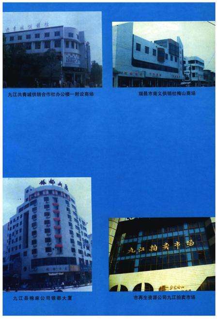 《九江市供销合作社志》.pdf_江西省志预览图4