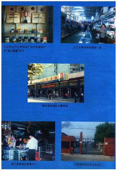 《九江市供销合作社志》.pdf_江西省志预览图5