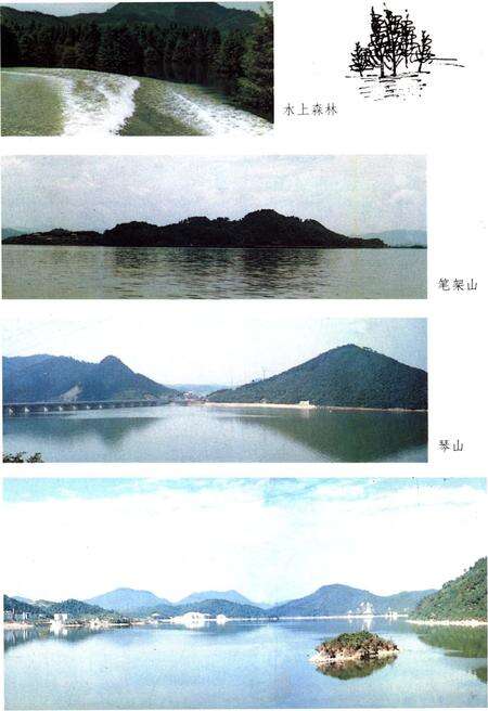 《青山湖志》.pdf_江西省志预览图5