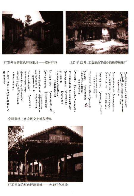 《井冈山革命根据地经济建设史》.pdf_江西省志预览图4