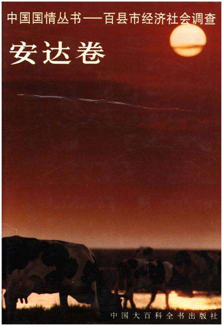 《中国国情丛书 百县市经济社会调查 安达卷》.pdf_江西省志缩略图