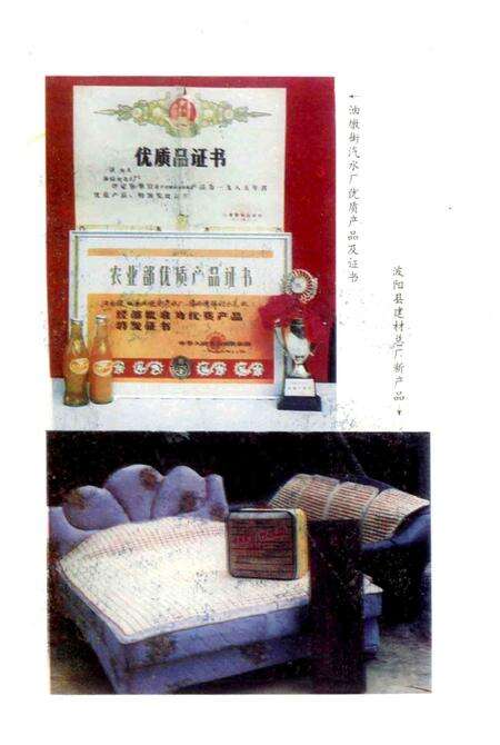 《油墩街乡志》.pdf_江西省志预览图5