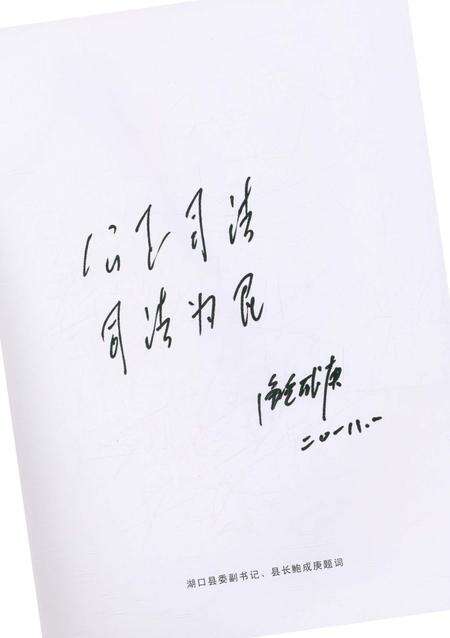 《湖口法院志》.pdf_江西省志预览图5