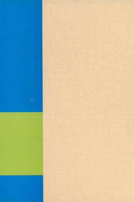 《江西南昌发电厂志第二卷1988-2000》.pdf_江西省志预览图1