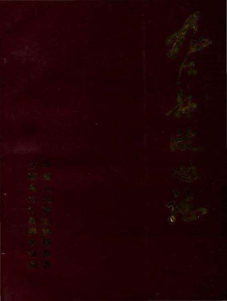 《九江县政协志》.pdf_江西省志缩略图