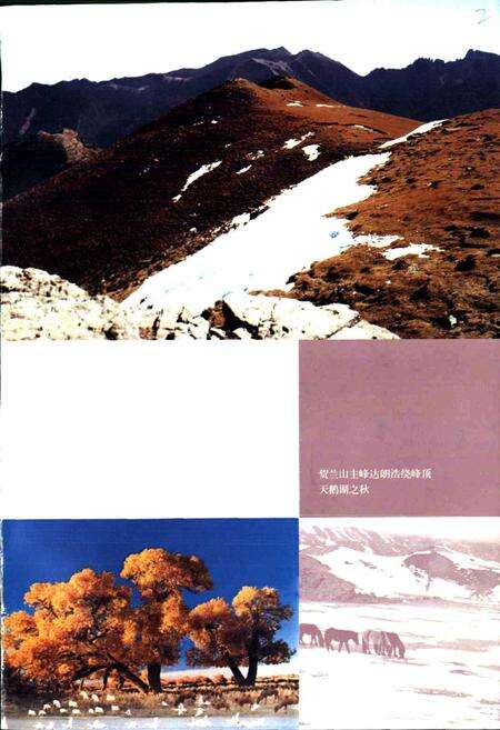 《内蒙古·阿拉善风物志》.pdf_内蒙古自治区志预览图2