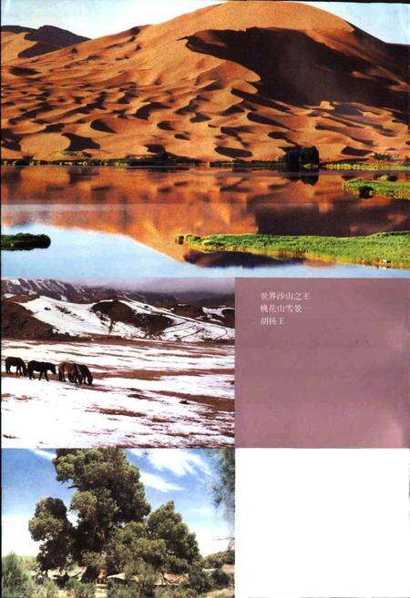 《内蒙古·阿拉善风物志》.pdf_内蒙古自治区志预览图3