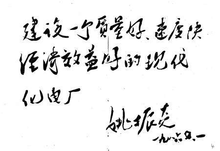 《丰镇发电厂史》.pdf_内蒙古自治区志预览图4