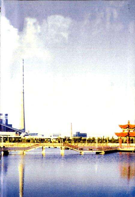 《达拉特发电厂志》.pdf_内蒙古自治区志预览图5