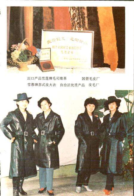 《海拉尔二轻工业志》.pdf_内蒙古自治区志预览图5