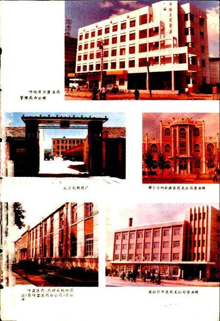 《呼伦贝尔盟医药志》.pdf_内蒙古自治区志预览图4