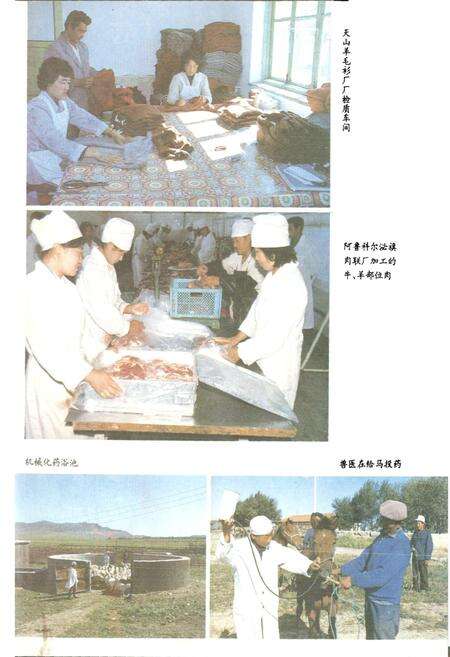 《阿鲁科尔沁旗畜牧志》.pdf_内蒙古自治区志预览图4