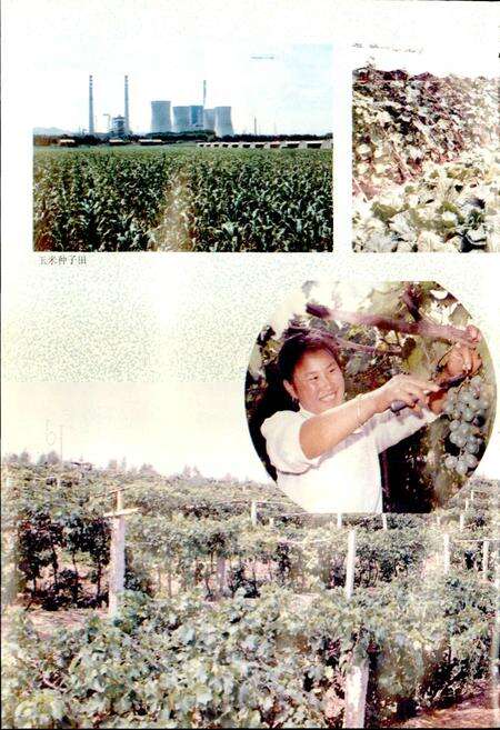 《建昌营镇志》.pdf_内蒙古自治区志预览图4