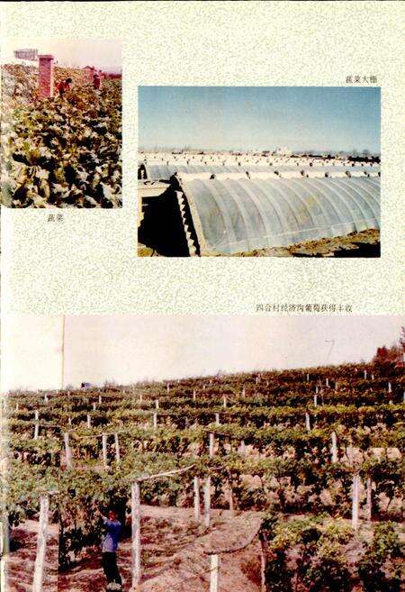 《建昌营镇志》.pdf_内蒙古自治区志预览图5