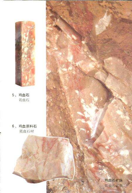 《巴林石志》.pdf_内蒙古自治区志预览图5