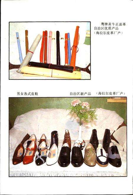 《呼伦贝尔盟二轻工业志》.pdf_内蒙古自治区志预览图4