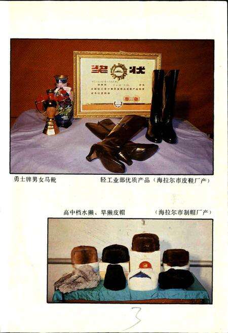 《呼伦贝尔盟二轻工业志》.pdf_内蒙古自治区志预览图5