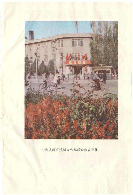 《供销社志》.pdf_内蒙古自治区志预览图2
