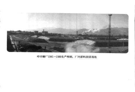 《呼和浩特市糖厂志》.pdf_内蒙古自治区志预览图4