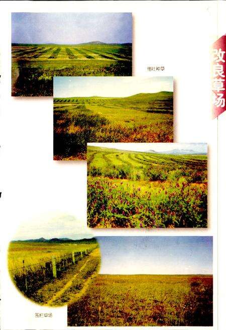 《巴林右旗畜牧志》.pdf_内蒙古自治区志预览图5