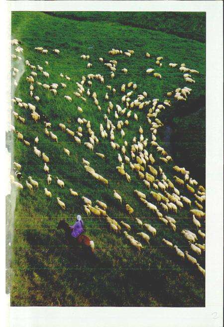 《大雁矿务局志》.pdf_内蒙古自治区志预览图4