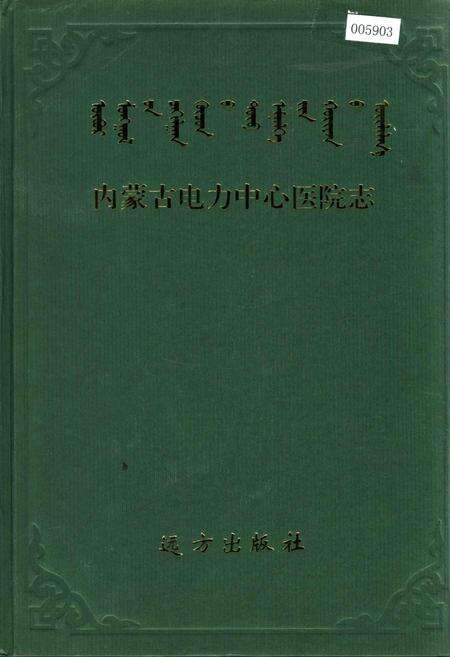 《内蒙古电力中心医院志》.pdf_内蒙古自治区志缩略图