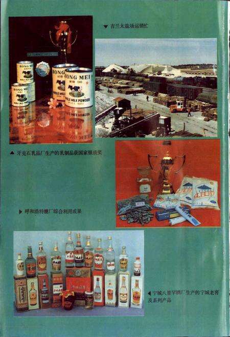 《内蒙古轻纺工业志》.pdf_内蒙古自治区志预览图5