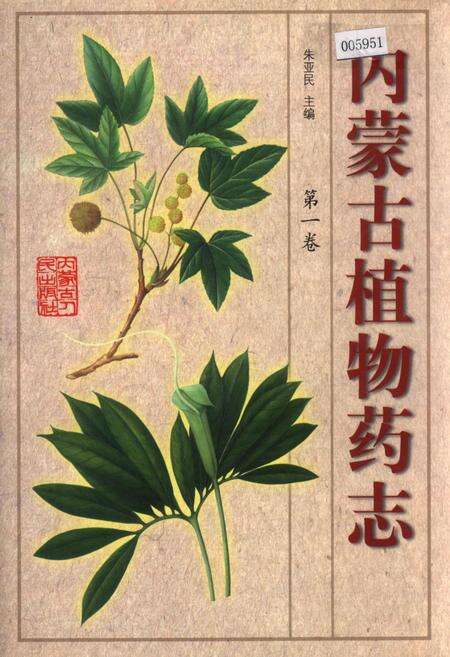 《内蒙古植物药志 第一卷》.pdf_内蒙古自治区志缩略图