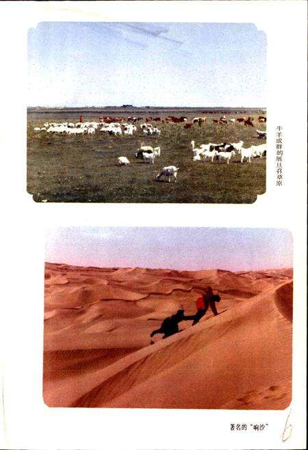 《内蒙古达拉特旗地名志》.pdf_内蒙古自治区志预览图4