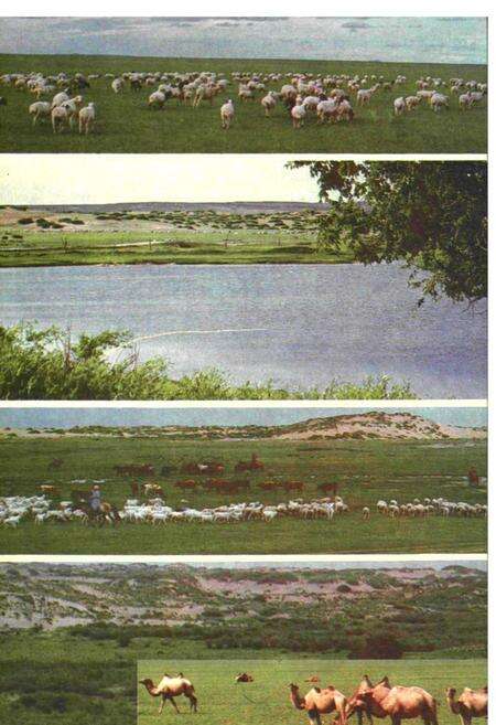 《苏尼特左旗地名志》.pdf_内蒙古自治区志预览图3