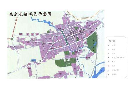 《尼尔基镇志(1956-2006)》.pdf_内蒙古自治区志预览图5