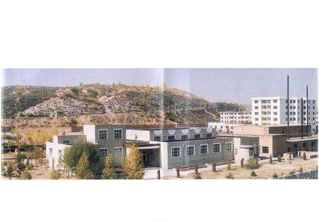 《武家塔露天煤矿矿志(1986-1996)》.pdf_内蒙古自治区志预览图5