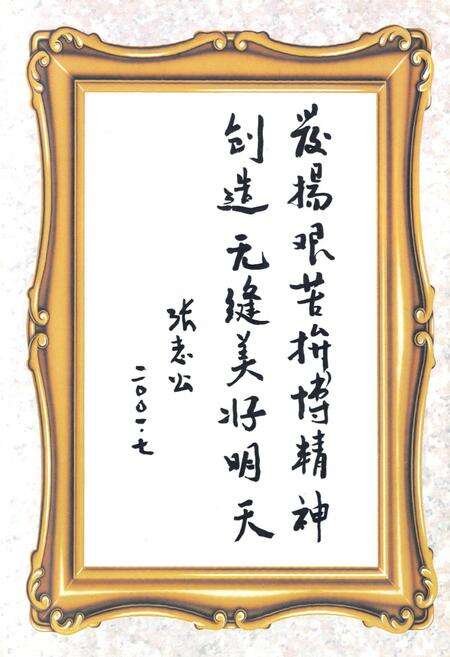 《包钢钢联无缝钢管厂志(1990-1999)》.pdf_内蒙古自治区志预览图5