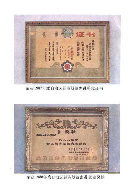 《海拉尔市供销合作社志》.pdf_内蒙古自治区志预览图5