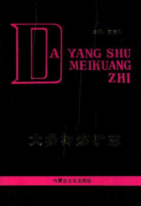《大杨树煤矿志》.pdf_内蒙古自治区志缩略图