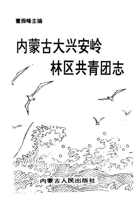 《内蒙古大兴安岭林区共青团志》.pdf_内蒙古自治区志预览图1