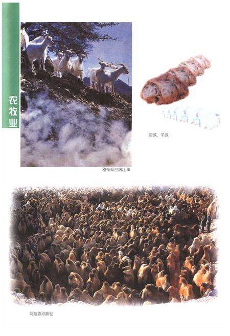 《阿拉善右旗志》.pdf_内蒙古自治区志预览图5