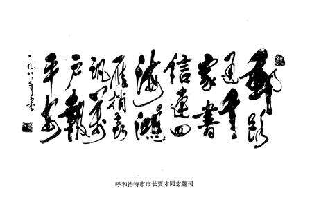 《呼和浩特邮政志》.pdf_内蒙古自治区志预览图1