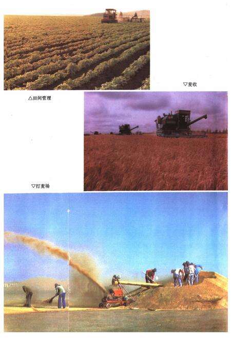 《呼伦贝尔盟粮食志》.pdf_内蒙古自治区志预览图5