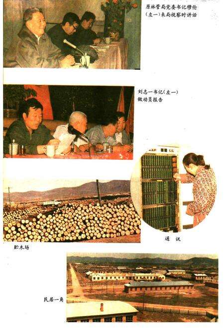 《毕拉河林业局志》.pdf_内蒙古自治区志预览图4