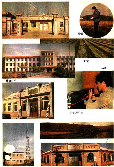 《毕拉河林业局志》.pdf_内蒙古自治区志预览图5