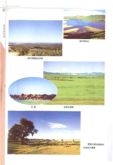 《扎赉特旗志(1986~2002)》.pdf_内蒙古自治区志预览图5