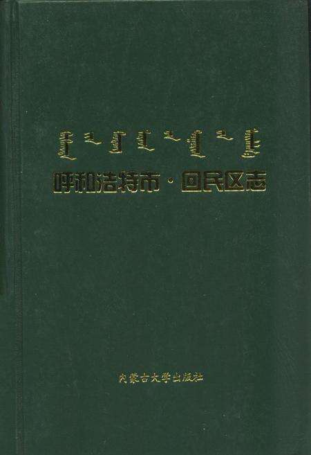 《呼和浩特市·回民区志》.pdf_内蒙古自治区志缩略图