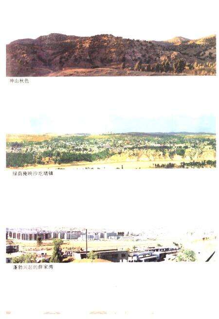 《《准格尔旗文物志》》.pdf_内蒙古自治区志预览图4