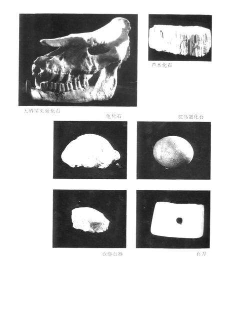 《《准格尔旗文物志》》.pdf_内蒙古自治区志预览图5
