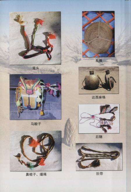 《《额济纳土尔扈特风俗志》》.pdf_内蒙古自治区志预览图5
