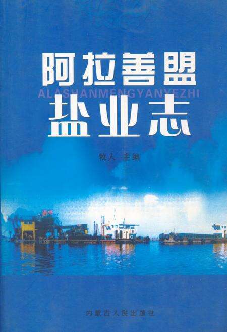 《《阿拉善盟盐业志》》.pdf_内蒙古自治区志缩略图