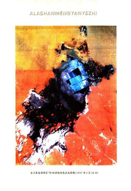 《《阿拉善盟盐业志》》.pdf_内蒙古自治区志预览图5